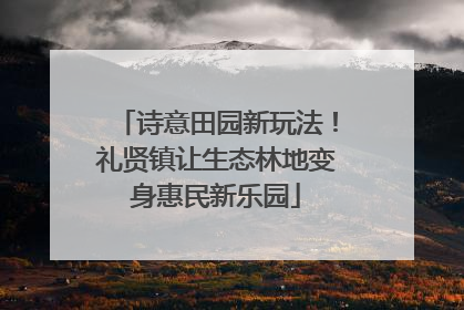 诗意田园新玩法！礼贤镇让生态林地变身惠民新乐园