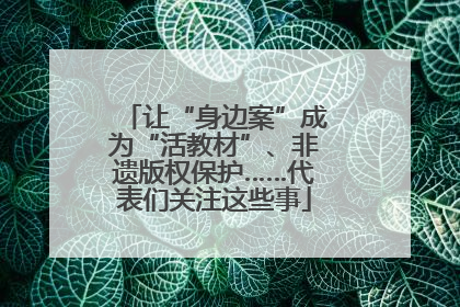 让“身边案”成为“活教材”、非遗版权保护……代表们关注这些事