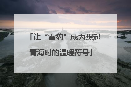 让“雪豹”成为想起青海时的温暖符号