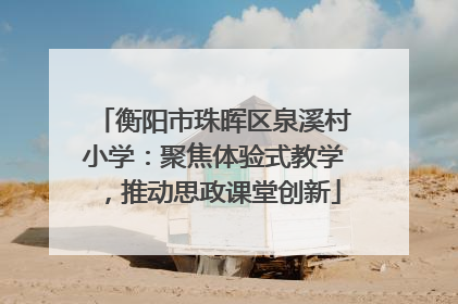 衡阳市珠晖区泉溪村小学：聚焦体验式教学，推动思政课堂创新