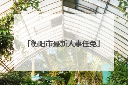 衡阳市最新人事任免