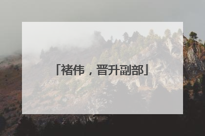 褚伟，晋升副部