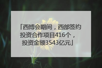 西博会期间，西部签约投资合作项目416个，投资金额3543亿元