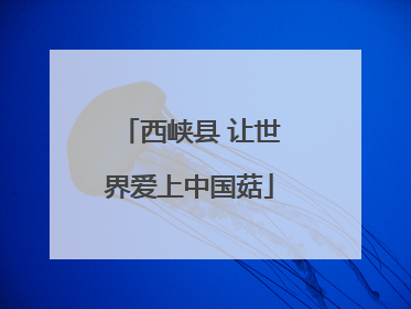 西峡县 让世界爱上中国菇