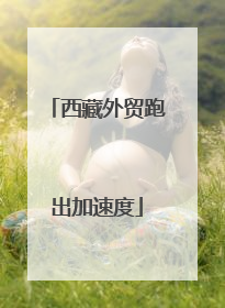 西藏外贸跑出加速度