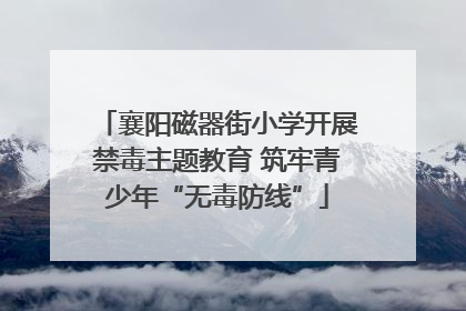 襄阳磁器街小学开展禁毒主题教育 筑牢青少年“无毒防线”
