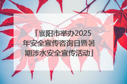襄阳市举办2025年安全宣传咨询日暨暑期涉水安全宣传活动