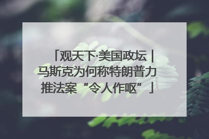 观天下·美国政坛｜马斯克为何称特朗普力推法案“令人作呕”