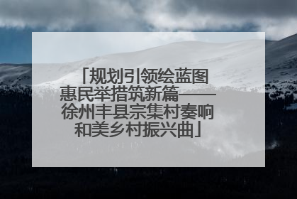 规划引领绘蓝图 惠民举措筑新篇——徐州丰县宗集村奏响和美乡村振兴曲