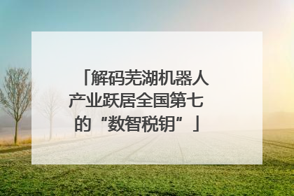 解码芜湖机器人产业跃居全国第七的“数智税钥”