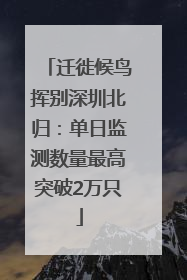 迁徙候鸟挥别深圳北归：单日监测数量最高突破2万只