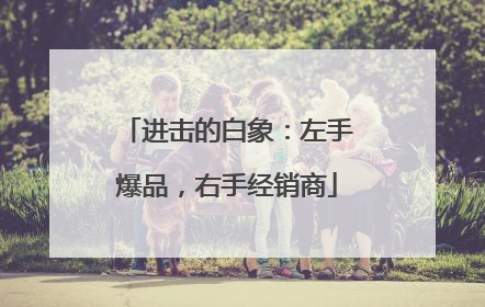 进击的白象：左手爆品，右手经销商