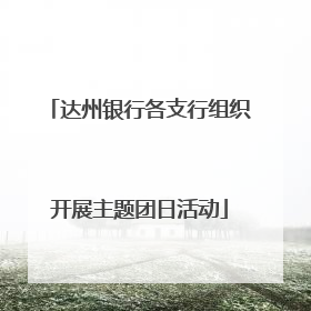 达州银行各支行组织开展主题团日活动
