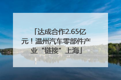达成合作2.65亿元！温州汽车零部件产业“链接”上海