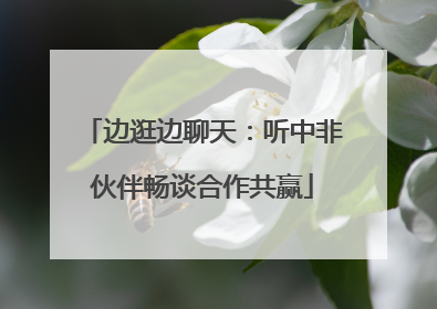 边逛边聊天：听中非伙伴畅谈合作共赢