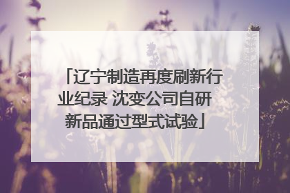 辽宁制造再度刷新行业纪录 沈变公司自研新品通过型式试验