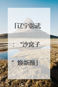 辽宁彰武：“沙窝子”焕新颜