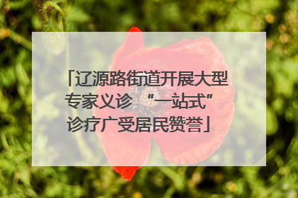 辽源路街道开展大型专家义诊 “一站式”诊疗广受居民赞誉