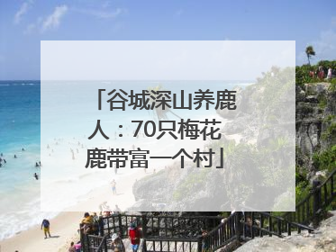 谷城深山养鹿人：70只梅花鹿带富一个村