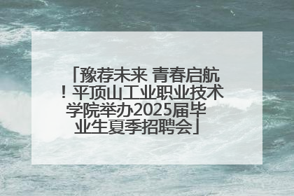 豫荐未来 青春启航！平顶山工业职业技术学院举办2025届毕业生夏季招聘会