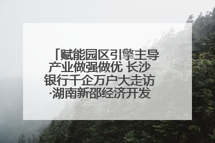 赋能园区引擎主导产业做强做优 长沙银行千企万户大走访·湖南新邵经济开发区专场活动举行