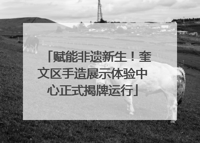 赋能非遗新生！奎文区手造展示体验中心正式揭牌运行