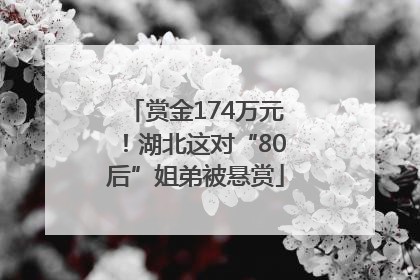 赏金174万元！湖北这对“80后”姐弟被悬赏
