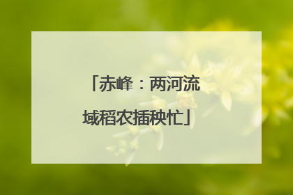 赤峰：两河流域稻农插秧忙