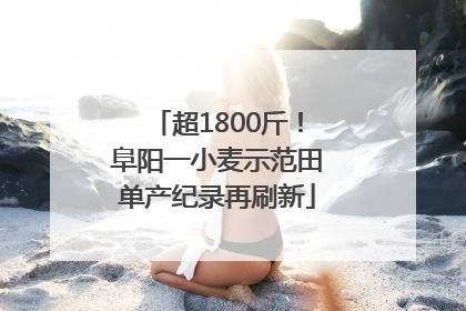 超1800斤！阜阳一小麦示范田单产纪录再刷新