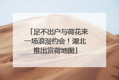 足不出户与荷花来一场浪漫约会！湖北推出赏荷地图