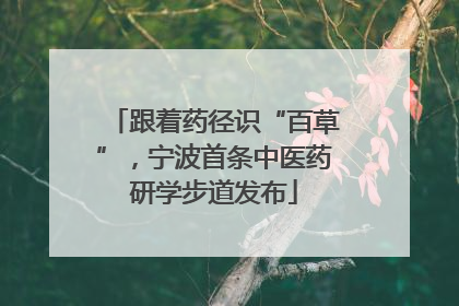 跟着药径识“百草”，宁波首条中医药研学步道发布