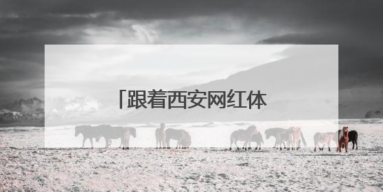 跟着西安网红体验庆阳乡村旅游