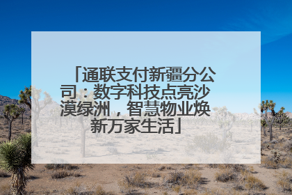 通联支付新疆分公司：数字科技点亮沙漠绿洲，智慧物业焕新万家生活