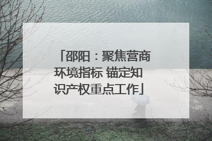 邵阳：聚焦营商环境指标 锚定知识产权重点工作