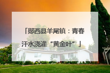 郧西县羊尾镇：青春汗水浇灌“黄金叶”