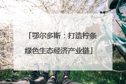 鄂尔多斯：打造柠条绿色生态经济产业链