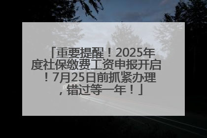 重要提醒！2025年度社保缴费工资申报开启！7月25日前抓紧办理，错过等一年！