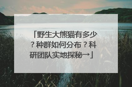 野生大熊猫有多少？种群如何分布？科研团队实地探秘→