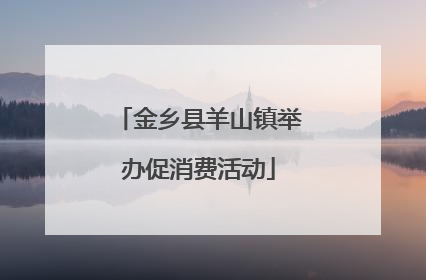 金乡县羊山镇举办促消费活动