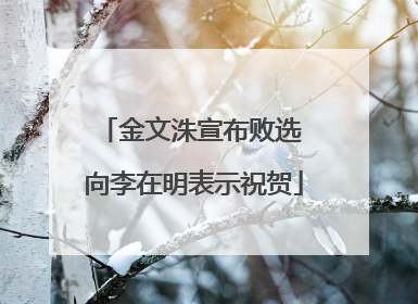 金文洙宣布败选 向李在明表示祝贺