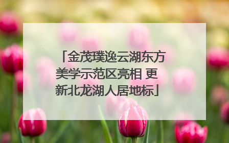 金茂璞逸云湖东方美学示范区亮相 更新北龙湖人居地标