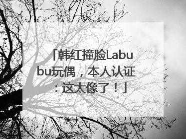 韩红撞脸Labubu玩偶，本人认证：这太像了！