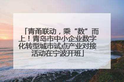 青甬联动，乘“数”而上！青岛市中小企业数字化转型城市试点产业对接活动在宁波开班