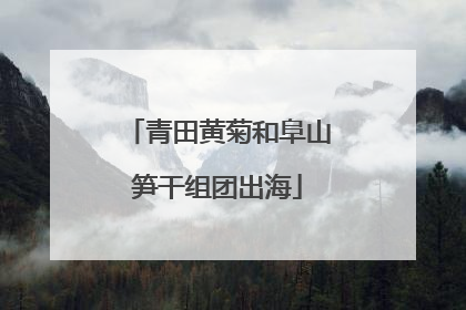 青田黄菊和阜山笋干组团出海