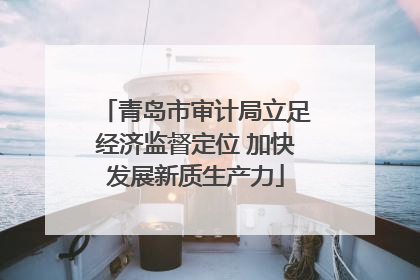 青岛市审计局立足经济监督定位 加快发展新质生产力