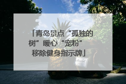 青岛景点“孤独的树”暖心“宠粉” 移除健身指示牌