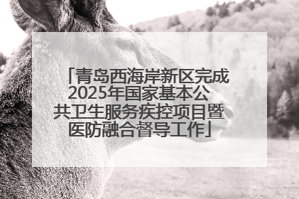 青岛西海岸新区完成2025年国家基本公共卫生服务疾控项目暨医防融合督导工作