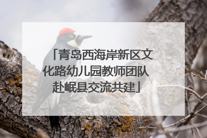 青岛西海岸新区文化路幼儿园教师团队赴岷县交流共建