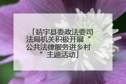 靖宇县委政法委司法局机关积极开展“公共法律服务进乡村”主题活动