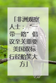 非洲观察人士：“一带一路”倡议至关重要 美国双标行径贻笑大方